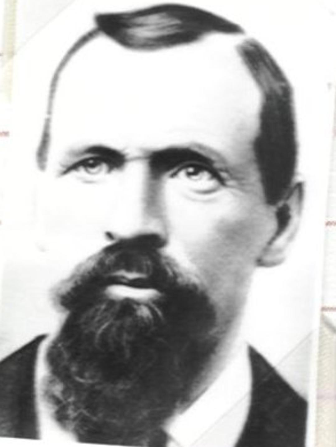 Henry Elmer (1841 - 1928) Profile